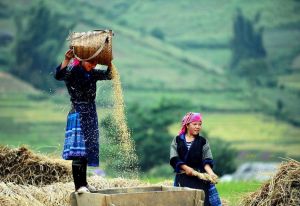 What is the best time to travel Vietnam, Laos and Cambodia ?